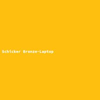 Schicker Bronze-Laptop
