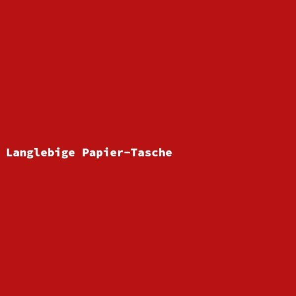 Durable Paper Bag
